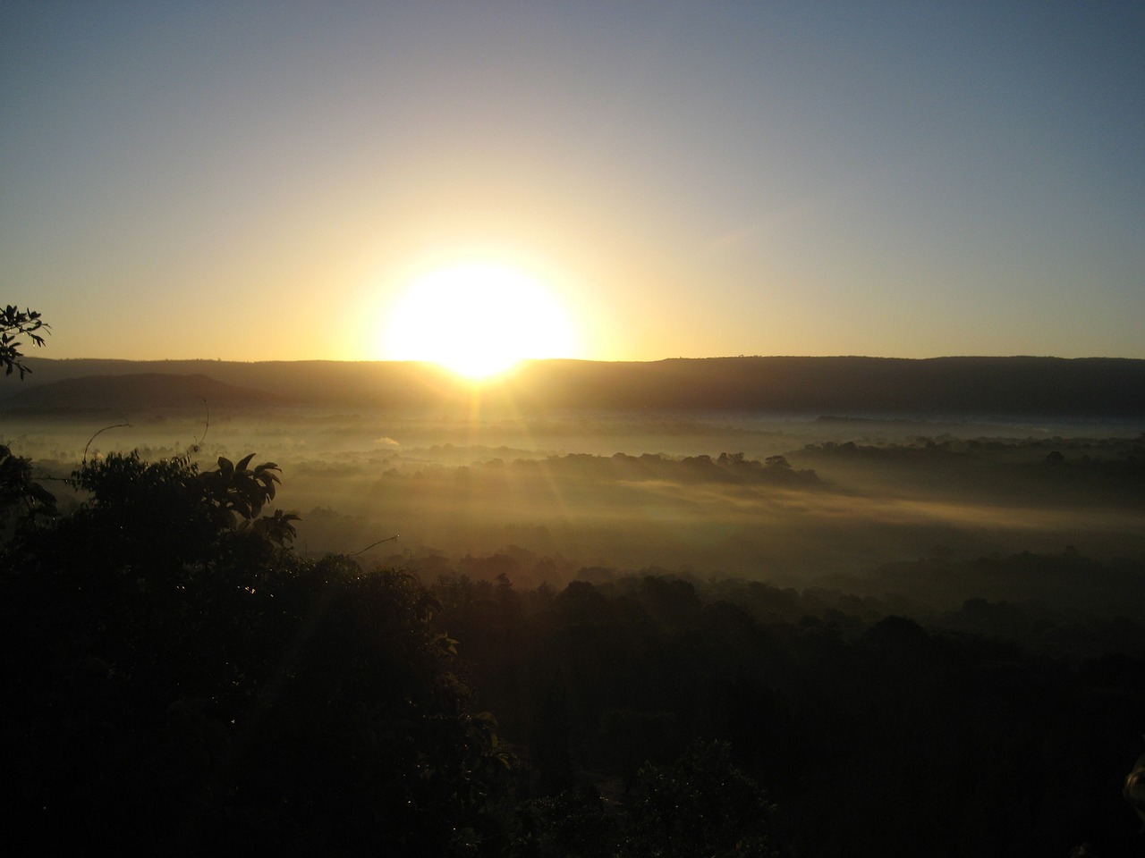 Eco-Friendly Ways to Enjoy Australia’s Daintree Rainforest